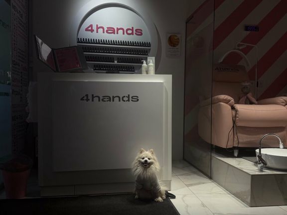 4Hands, интерьер