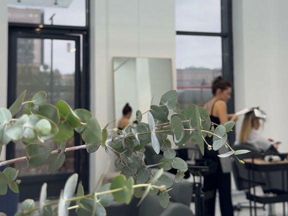 AeStetica, интерьер
