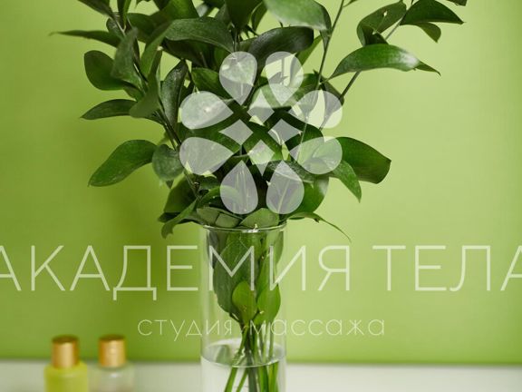 Академия тела, интерьер