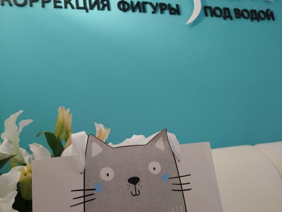 Акваслим, интерьер