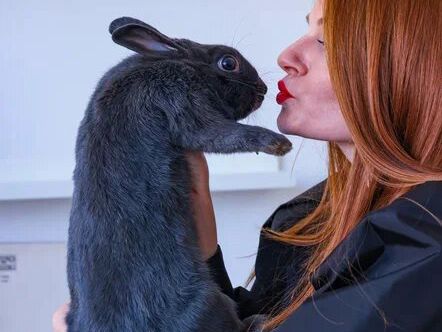 Alice Beauty, интерьер