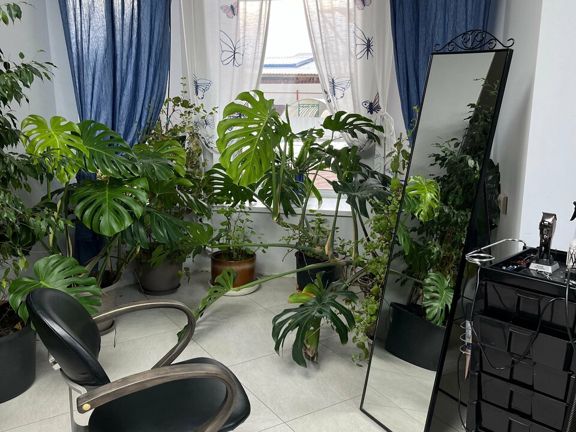 Alina Hairdresser, интерьер