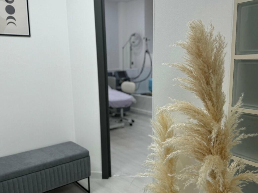 Aliya Clinic, интерьер