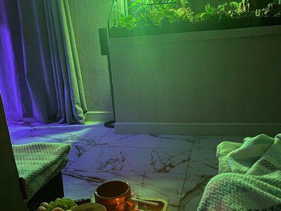 Amoveo SPA, интерьер