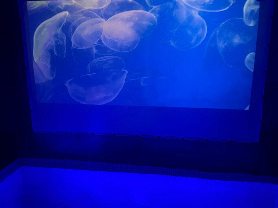Amoveo SPA, интерьер
