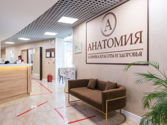 Анатомия, интерьер
