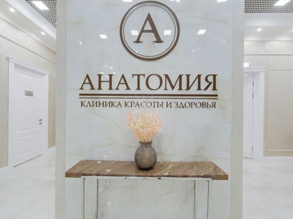 Анатомия, интерьер