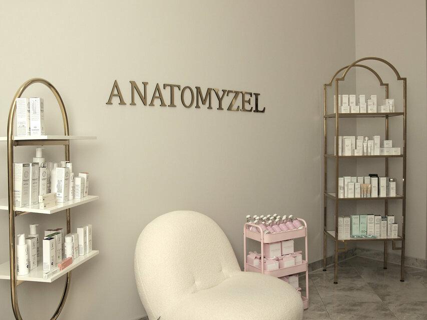 Anatomyzel, интерьер