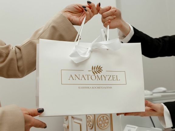 Anatomyzel, интерьер
