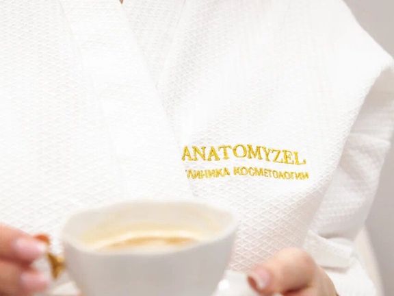 Anatomyzel, интерьер