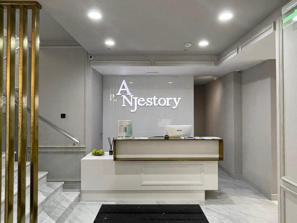 ANJestory, интерьер