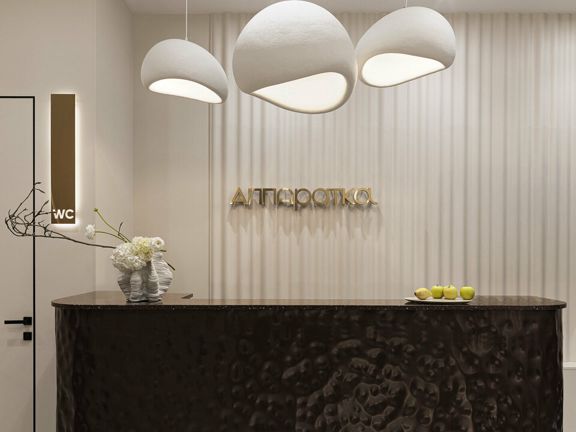 Аппаратка, интерьер