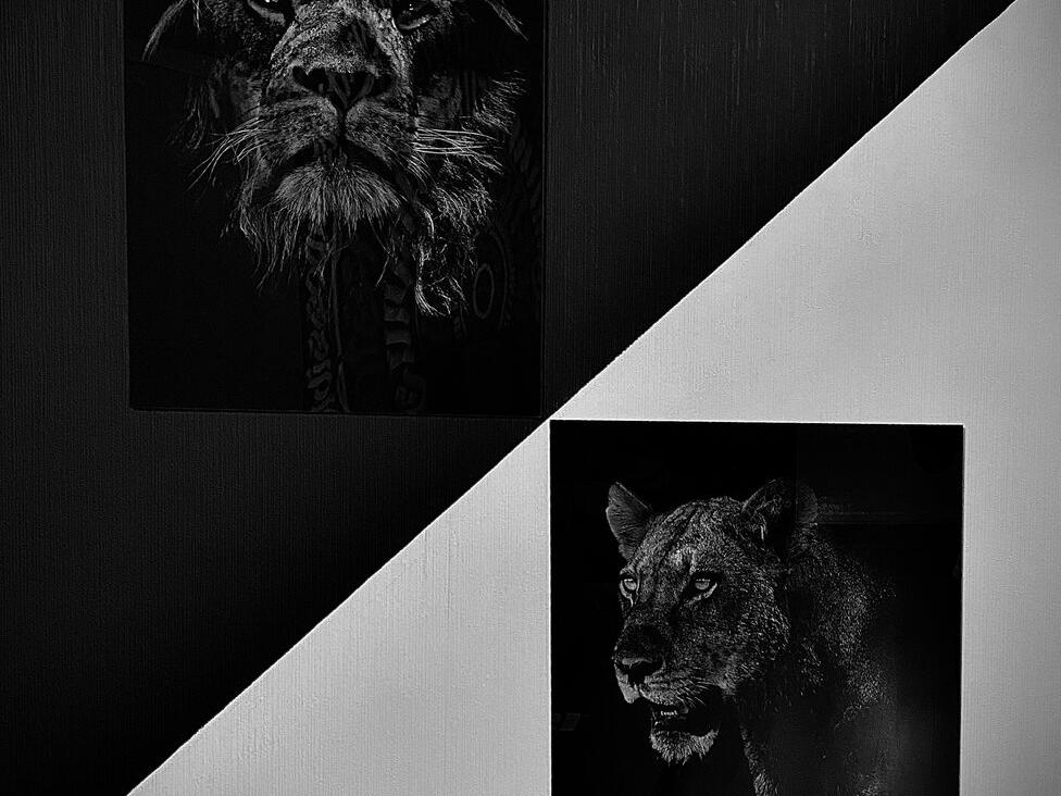 Art Black Tattoo, интерьер