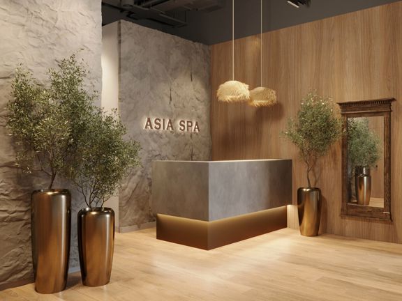 Asia SPA, интерьер