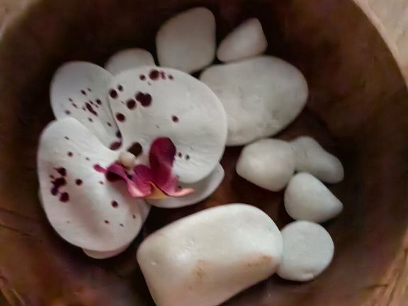 Asia SPA, интерьер