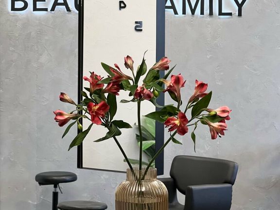 Beauty family, интерьер