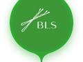 Beauty Lab Store, интерьер