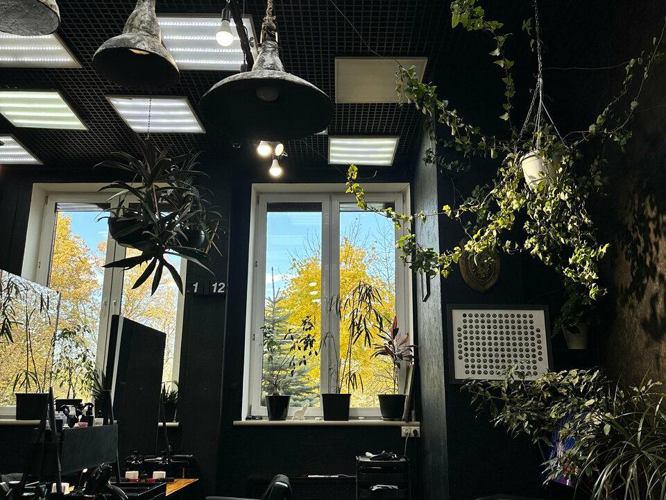 Beauty_X_Saloon, интерьер