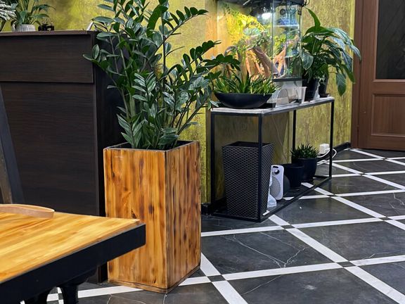 Beauty_X_Saloon, интерьер