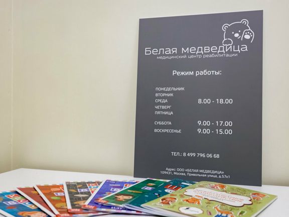 Белая медведица, интерьер