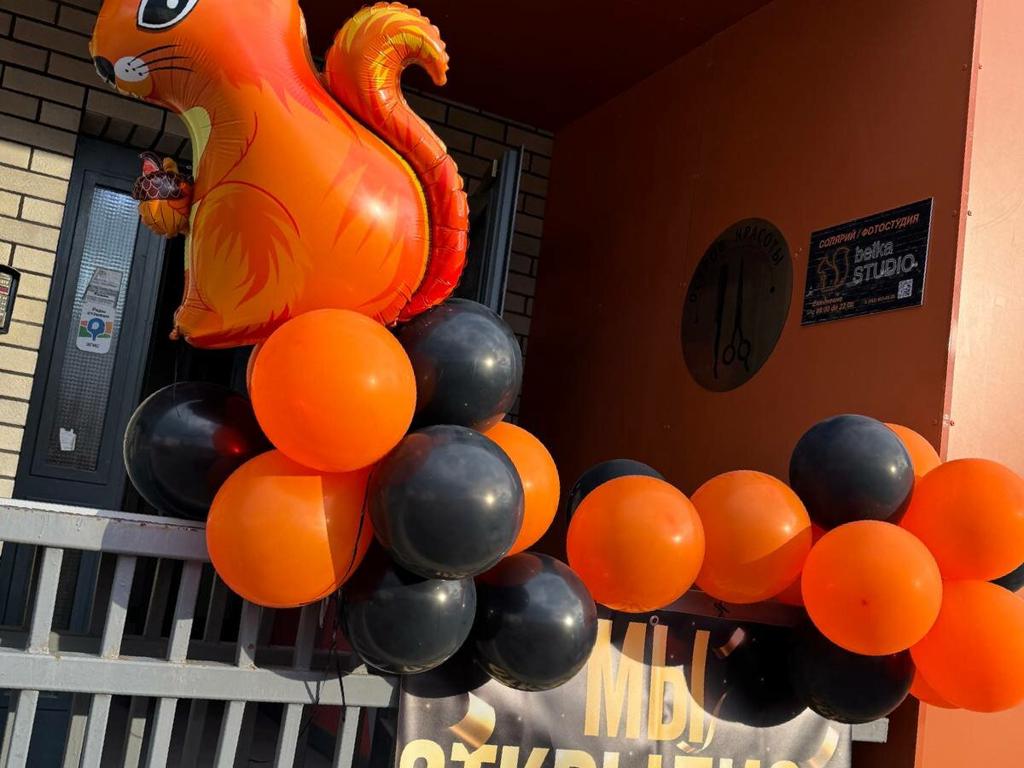 Белка студия, интерьер