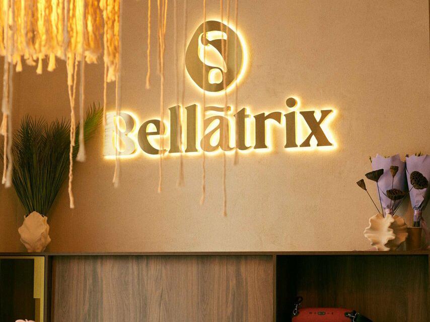 Bellatrix, интерьер