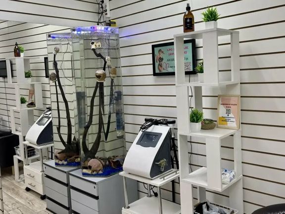 Bereza, интерьер