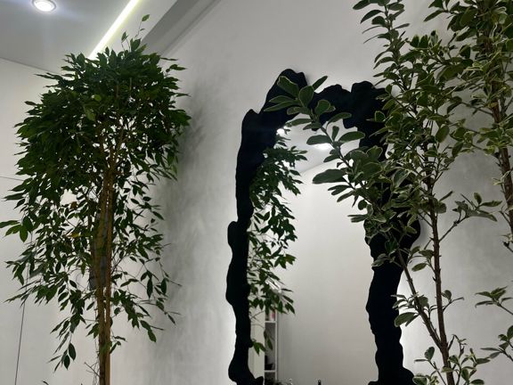 Beridze Beauty & School, интерьер