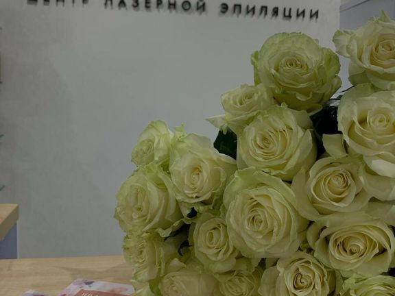 Без Ежа, интерьер