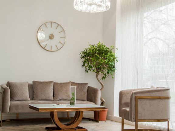 Biologic Concept, интерьер
