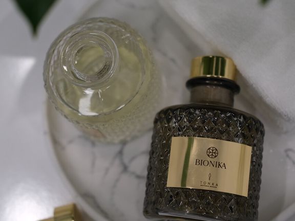 Bionika, интерьер