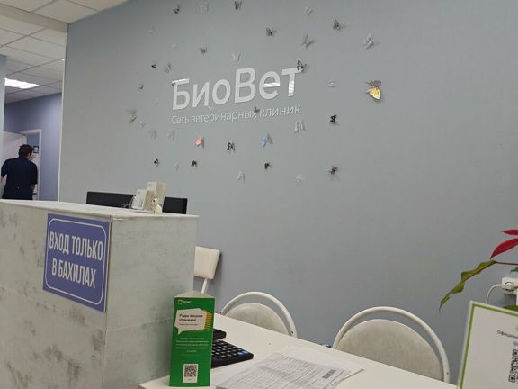 Биовет, интерьер