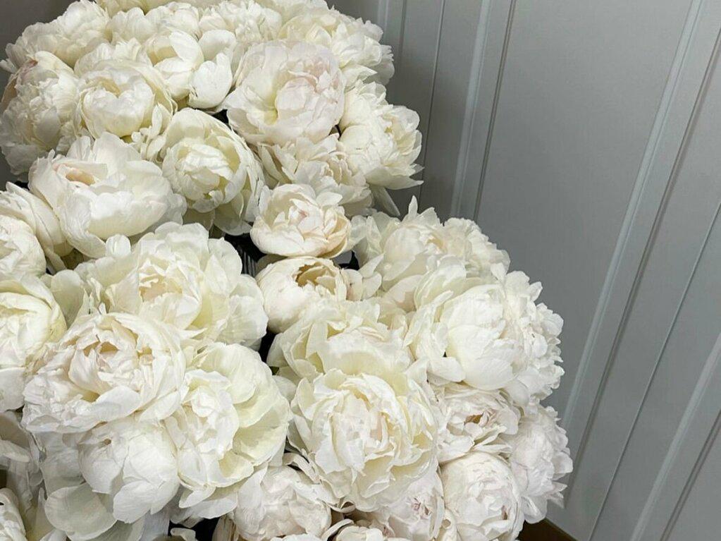 Blossom, интерьер