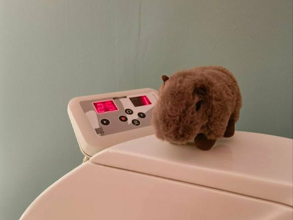 Боди Ролл Студио, интерьер