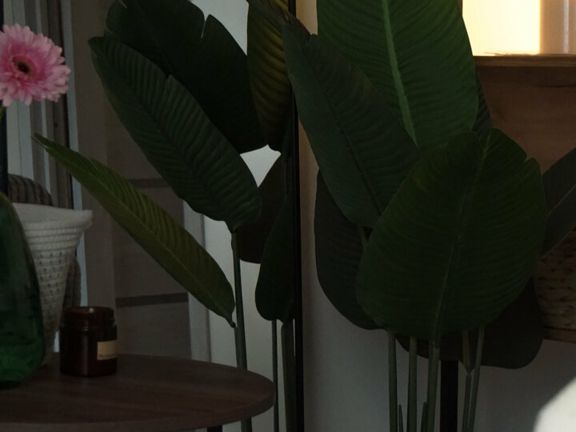 Body Bar Studio, интерьер