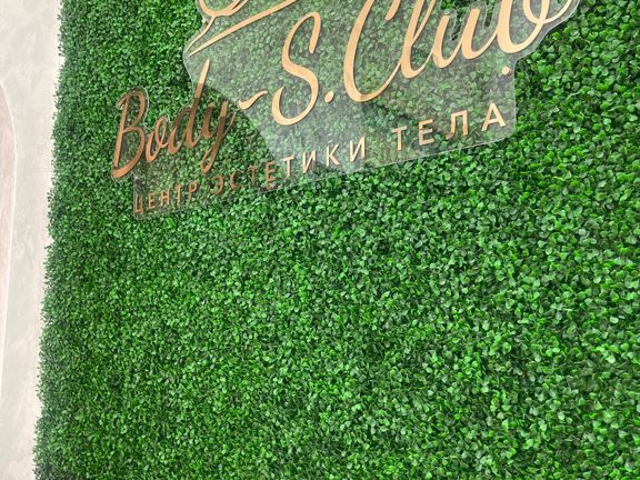 Body-s. club, интерьер