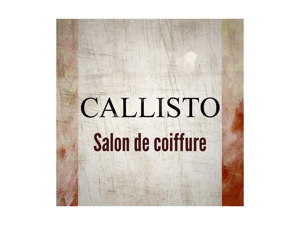 Callisto, интерьер