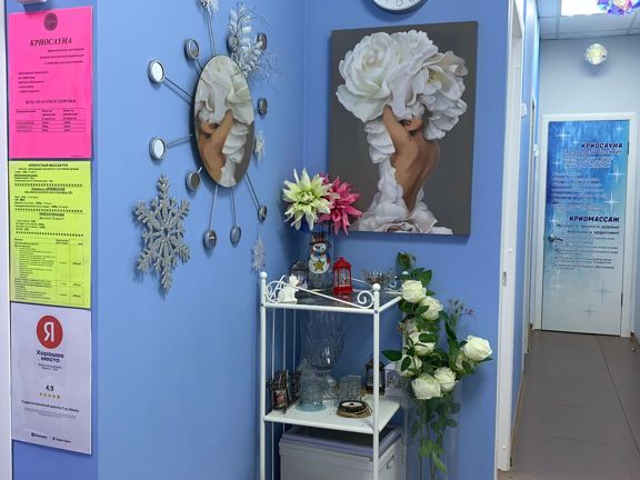 Cryo_Beauty, интерьер