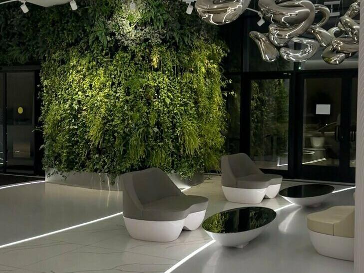 D. Magnetic cosmetology, интерьер