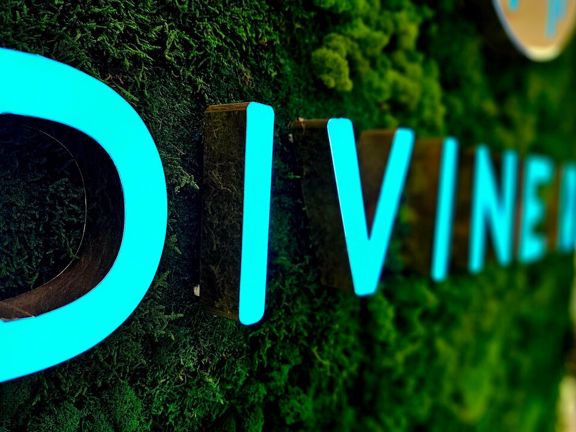 Divine Ray, интерьер