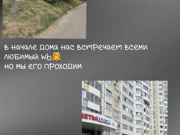 Духанина Брови, интерьер