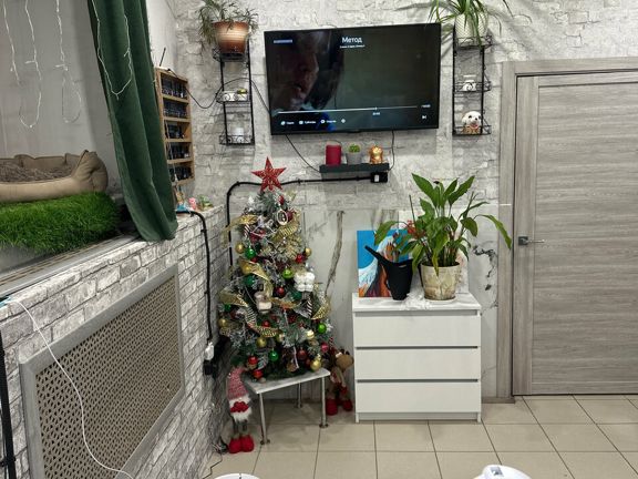 Джули, интерьер