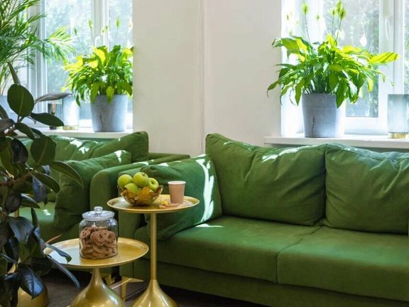 El lab beauty clinic, интерьер
