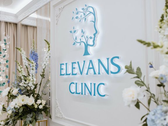 Elevans, интерьер