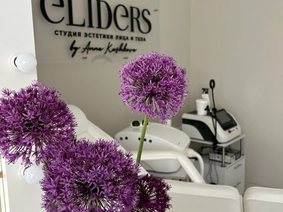 Eliders, интерьер