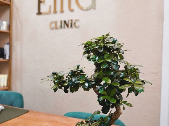 Elitg, интерьер