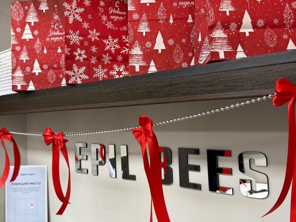 Epil bees, интерьер