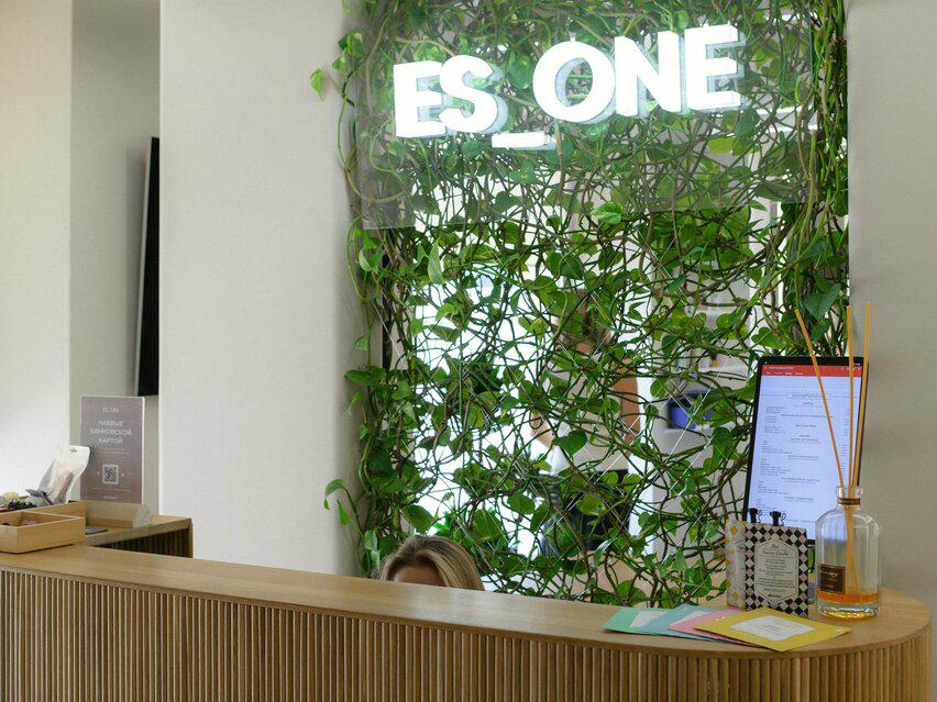 Es_one, интерьер