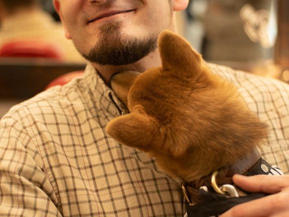 Fckng Barbers, интерьер