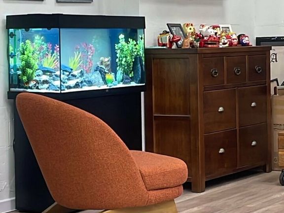 Fox Box, интерьер